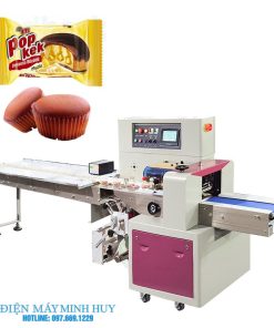 Máy đóng gói bánh mỳ (MHĐG-H41)