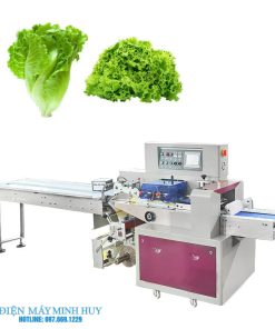 Máy đóng gói rau củ tự động	(MHĐG-H35)