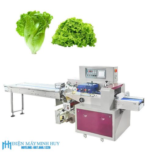 Máy đóng gói rau củ tự động	(MHĐG-H35)